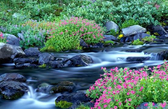 Весна природа красивая 50 (700x525, 184Kb)