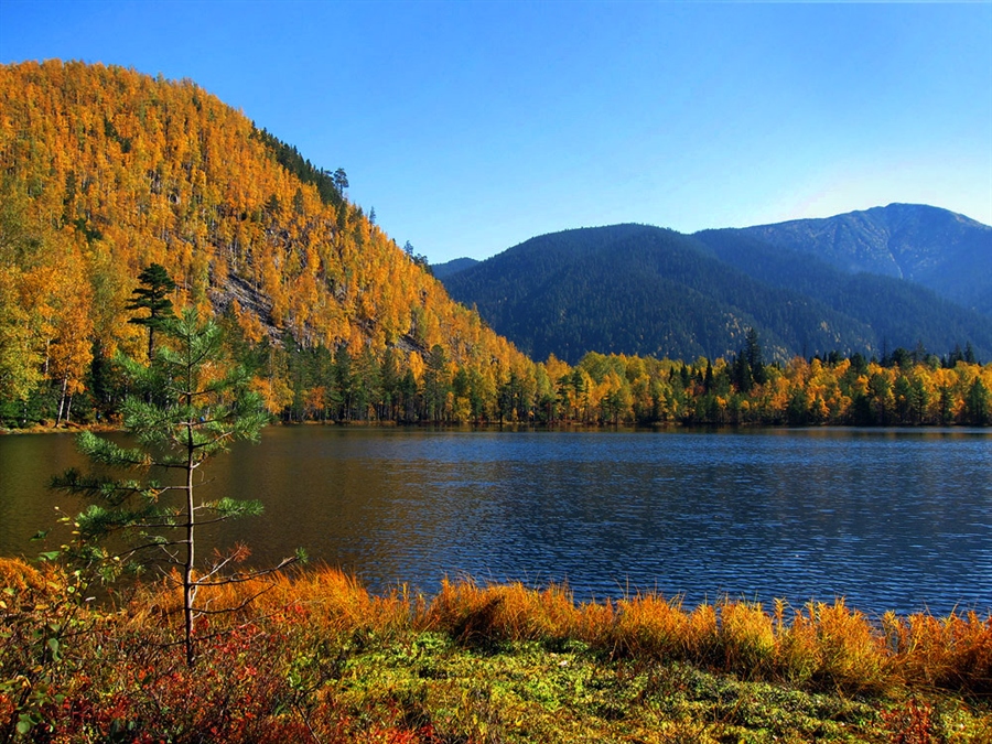 http://photos.lifeisphoto.ru/102/0/1028868.jpg
